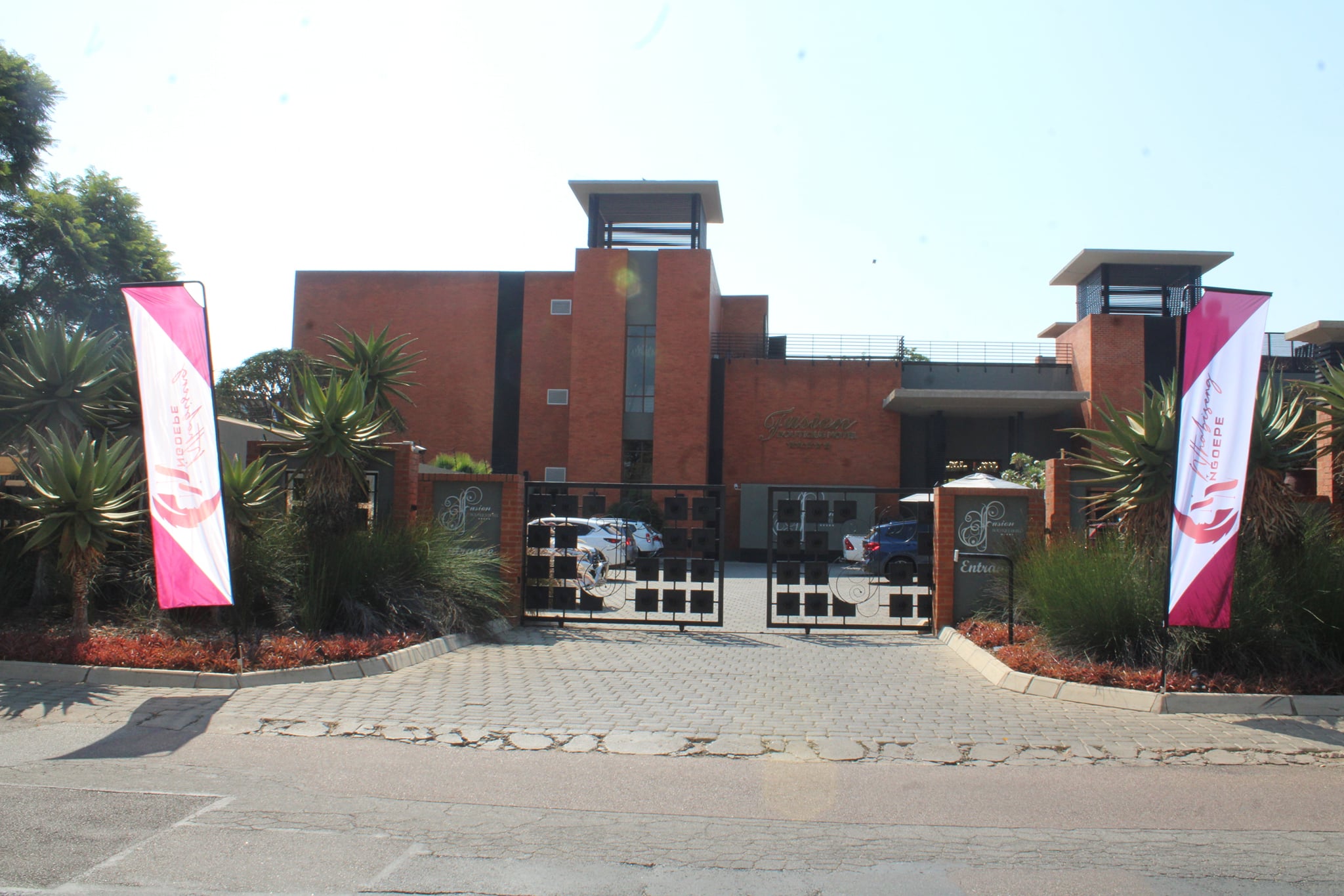 277783342_1445288105901562_8363898729719533030_n